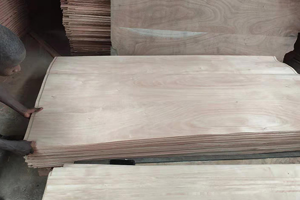 �һ�о��Ƥ����