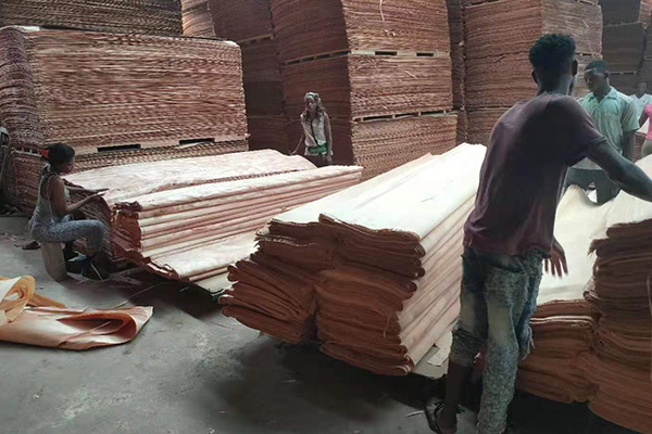 ���ޏS܇(ch��)�g�L(f��ng)��һ�[